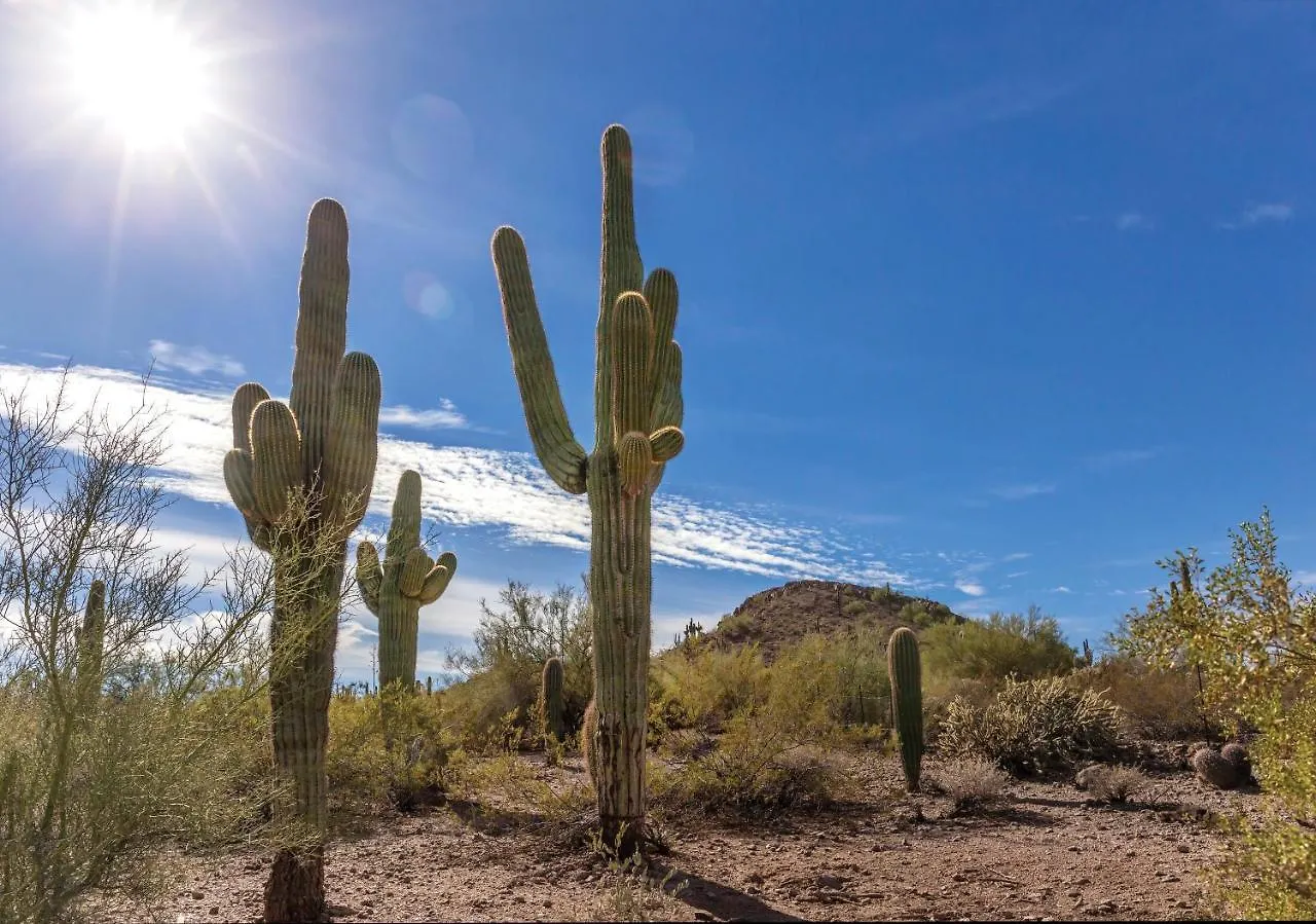****  Orange Tree Resort Phoenix United States